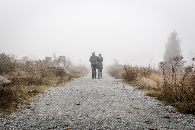 survivre amour a distance